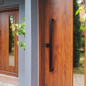 Haust�ren mit Glas