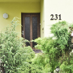 ADLO - Sicherheitst�r TEDUO, Glas P372, termo Exterieur, termo Dreifachglas