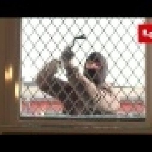 Verglastes Fixelement ADLO mit Dreifachsicherheitsglas mit Ausgitterung