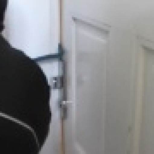 Der Kunde wollte wissen, was seine Massivholztür aushält. Der Kunde wollte wissen, was seine Massivholztür aushält.