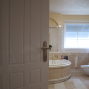 ADLO - Sicherheitst�r TEDUO, Profilausf�hrung Color F321 f�r den Innenbereich, L�rmd�mmung