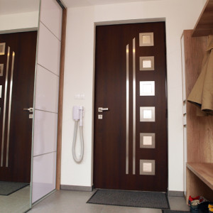 ADLO - Thermo-Sicherheitst�r Kasim, verglast PS552, Rosettenbeschlag, Leisten aus rostfreiem Stahl