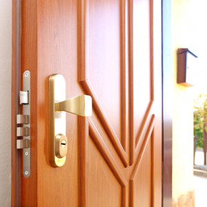 ADLO - Thermo-Au�enraumt�r Lisbeo, Leistenausf�hrung LOG 402, Oberfl�che der T�r und der Leisten G656