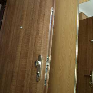 ADLO - Sicherheitst�r TEDUO, T�roberfl�che H1151 beidseitig, Sicherheitshebel