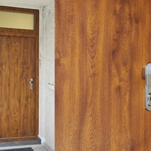 ADLO - Thermo-Au�enraumt�r TEDUO mit Fixteil, Verkleidung der T�rzarge und des Fixteils in Termal