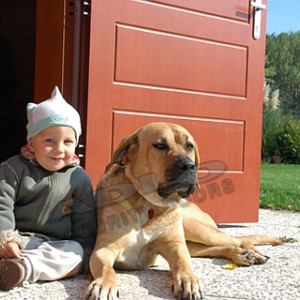 ADLO - Sicherheitst�r ZENEX, Oberfl�che Furnier, ins Exterieur