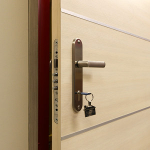 ADLO - Sicherheitst�r TEDUO, Leistenausf�hrung atypisch, Wohnungseingangst�r, Holzdekor, ADLO T�rzarge