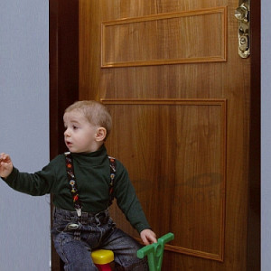 ADLO - Sicherheitst�r TESIM, Leistenausf�hrung LR250, ins Interieur