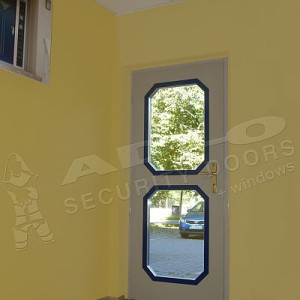 ADLO - Sicherheitst�r TEDUO, Glas P221 atyp, Termo Exterieur, flache Leisten