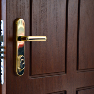 ADLO - Sicherheitst�r ZENEX, profiliert F155, Oberfl�che Naturfurnier lackiert