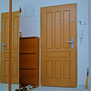 ADLO - Sicherheitst�r Aduo, T�rendesign profiliert F320, Furnier EICHE, T�r-Sicherheitshebel