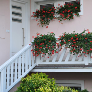 ADLO - Sicherheitst�r TEDUO, NOBLESSE, Gloria 004, Thermo f�r den Au�enbereich, Abmessungen 225cm x 100cm