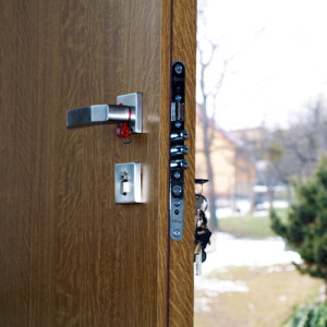 ADLO - Sicherheitst�r ARDEN, Thermo - Hauseingangst�r, Rosettenbeschlag