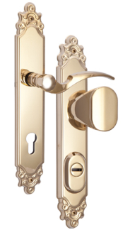 Schutzbeschlag Rostex R1, Dekorativ � f�r rechte T�r, Titan gl�nzend, Dr�cker - Ovalgriff