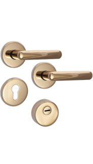 Sicherheitsrosettenbeschlag Rostex R4/S MT finish, Rund, Titan gl�nzend, f�r Serie Elite und Termo