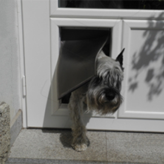 Durchgang f�r Hunde und Katzen